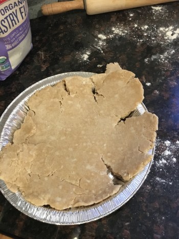 a disgusting pie
